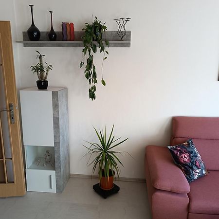 Apartman Kolarova 克拉托维 外观 照片